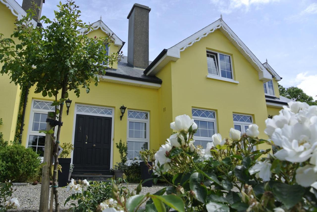 Drumcreehy Country House B&B Ballyvaughan Exterior foto